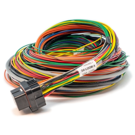 Link Loom A (2.5m) – All wireIn ECUs