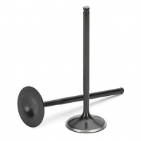 Supertech BMW M3 S54 Black Nitrided Exhaust Valve – Single